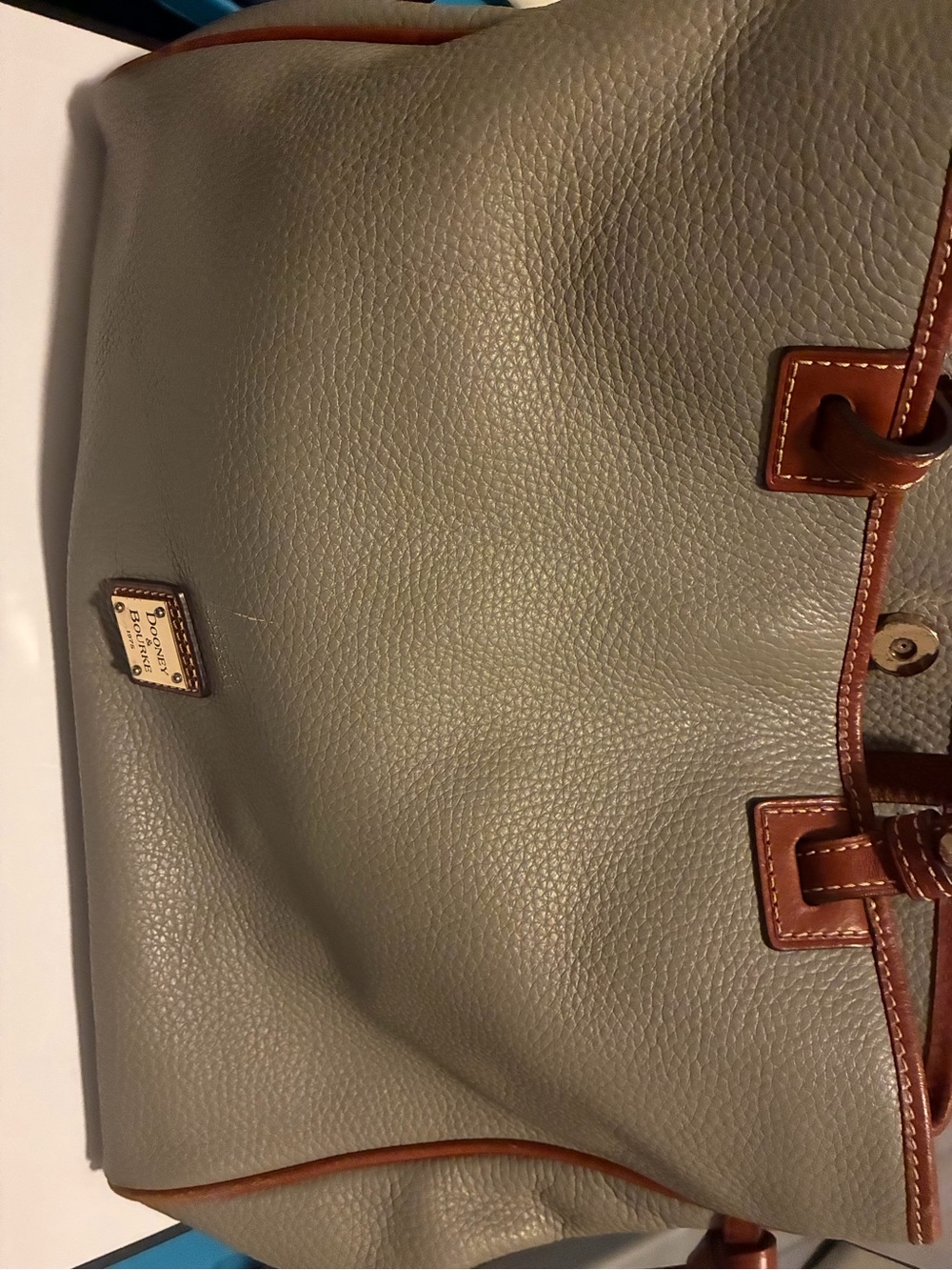 Dooney & Bourke Sage Green Leather Shoulder Bag with Brown Trim